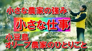 小豆島のオリーブ農家に日常／小さい農家と小さい仕事の相性