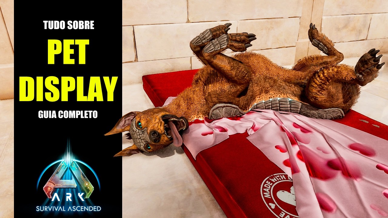 TUDO sobre o PET DISPLAY / EXPOSITOR DE ANIMAIS DE ESTIMAÇÃO - Guia ...
