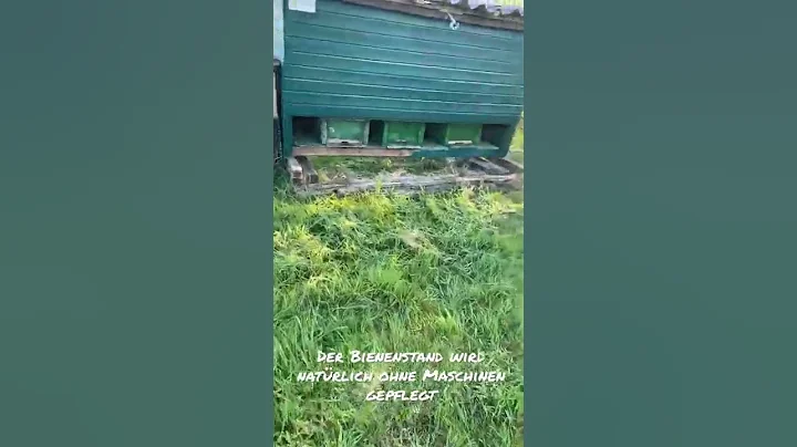 Bienenstandpfleg...