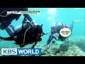 Langkawi island, the heaven for divers [Battle Trip / 2017.05.14]