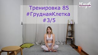 Тренировка 085 #ГруднаяКлетка КЛУБ бесплатных тренировок Софии Агаповой