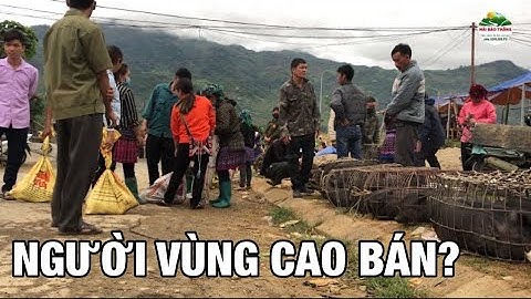 MỘC MẠC CHỢ PHIÊN NGƯỜI VÙNG CAO - CHỢ CỐC LY BÁN TOÀN ĐỒ LẠ TÂY BẮC. P5