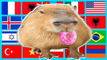 Ok I Pull Up Capybara in different languages meme Part 4