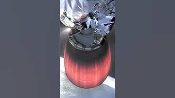 SpaceX Mouse Mistery