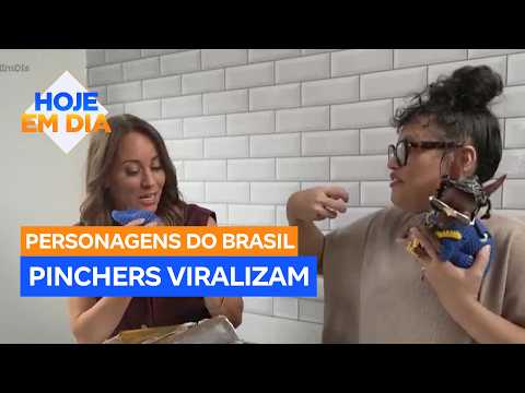 Characters of Brazil: Housewife from Goiás goes viral with outfits created for her pinschers
