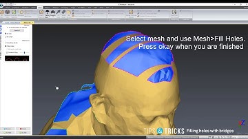 Tips & Tricks #44 - Filling holes with bridges