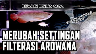 UPGRADE SETTINGAN TOP FILTER UNTUK AROWANA Resimi