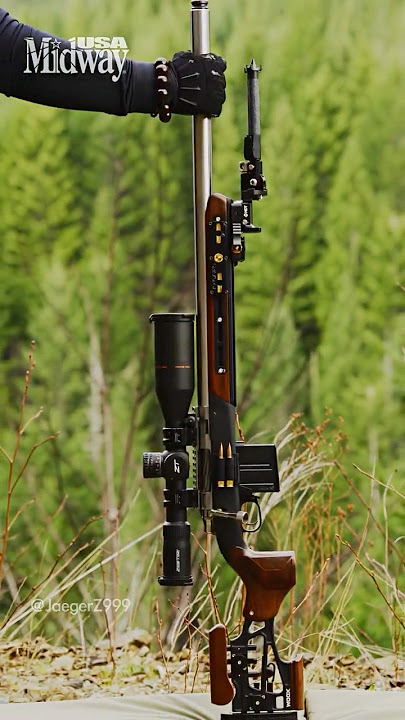 Modern Wood Rifle V2/ Woox Furiosa Ultra