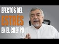 Efectos del Estrés en el Cuerpo