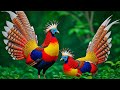 Birdsong in Forest 🌲🐦 | Peaceful Nature Sounds for Deep Sleep, Relaxation & Focus