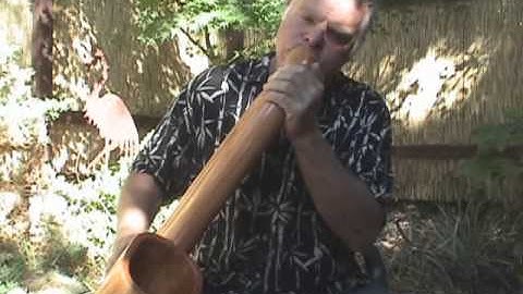 Python P001 Didgeridoo Demo