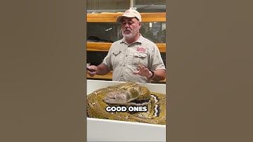 Uncovering the Truth About Infertile Eggs - What You Didn