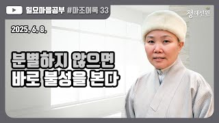 2025.06.08. [청혜선원] 일요공부ㅣ마조어록  제33회  25. 보살  &quot;분별하지 않으면 바로 불성을 본다&quot;