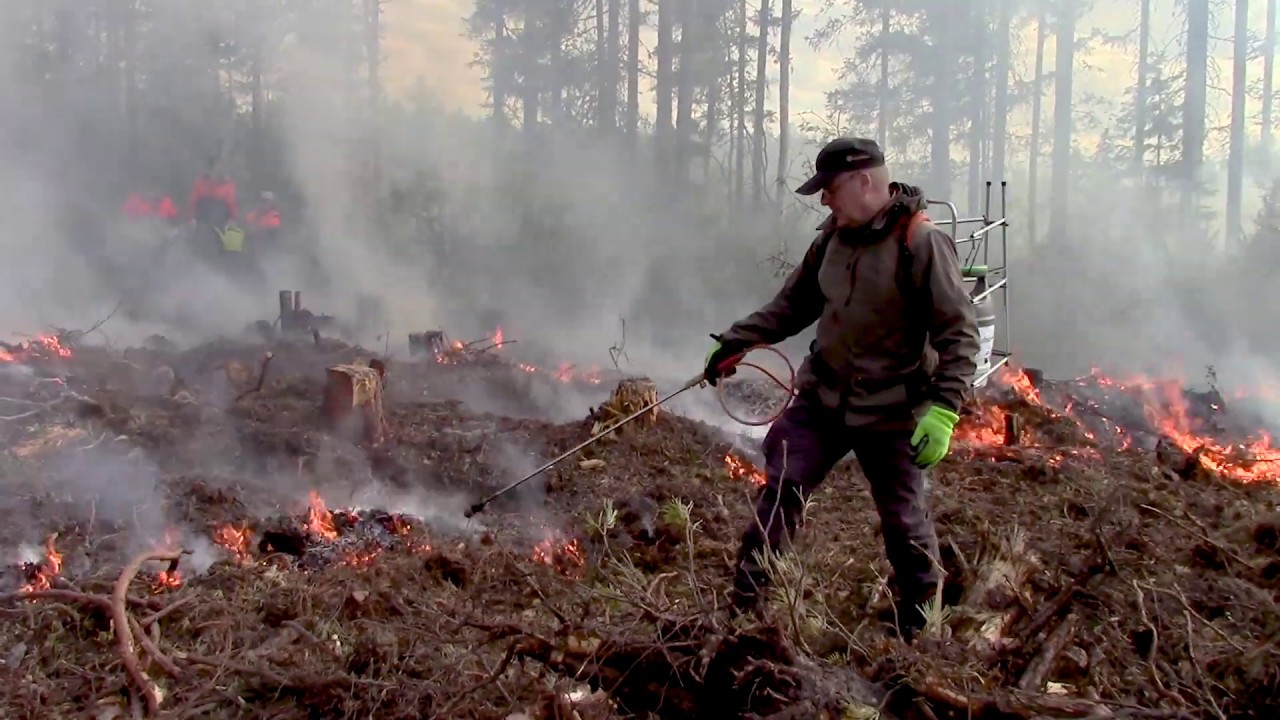 Kulottaen hyvä tulee
