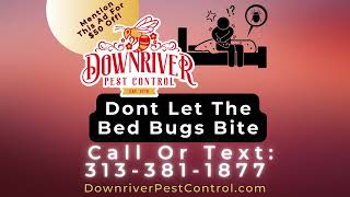 Bed Bug Exterminator In Michigan