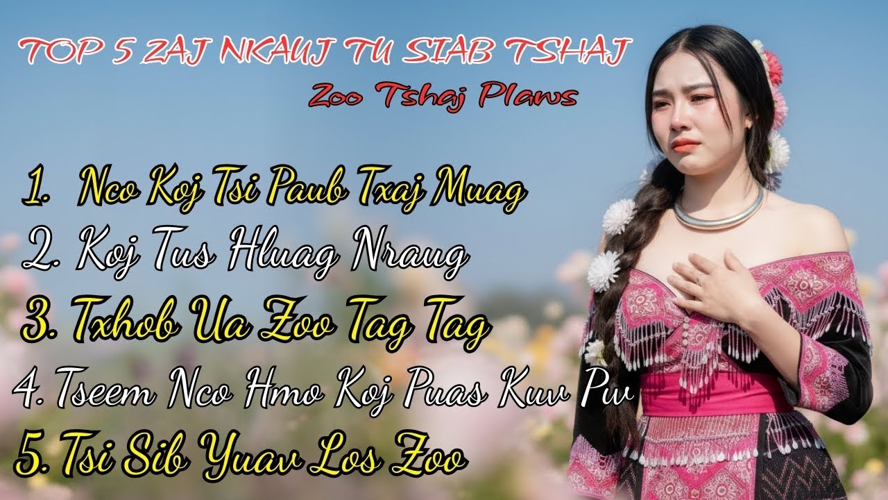 Top 5 Zaj Nkauj Tu Siab Tshaj (Cover) Hmong EDM Music 