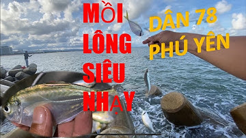 Câu Cá Biển Gần Bờ Bằng Mồi Lông Cực Kỳ Hiệu Quả