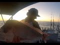 CRAZY HOT SNAPPER BITE on the close in reefs off the  Gold Coast big snapper, float lining pilchards