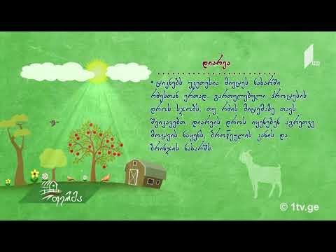 #უკეთრომაკეთო #ფერმა თხის დაავადებები, მათი მკურნალობა და პროფილაქტიკა