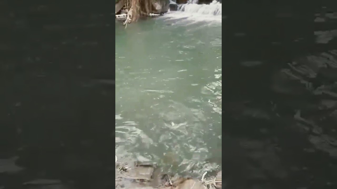 Bikin ketagihan mancing di spot yang 1 ini..