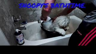 Snoopy's Bathtime.