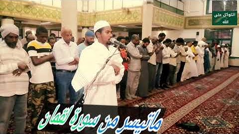 ماتيسر من سورة لقمان / شيخ / محمد يونس