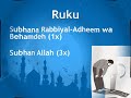 Salat aldhurasr isha practice  shia