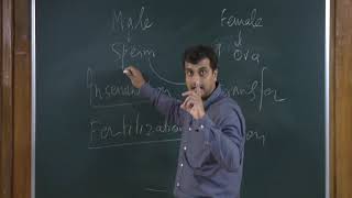Reproduction:Human Reproduction - 1