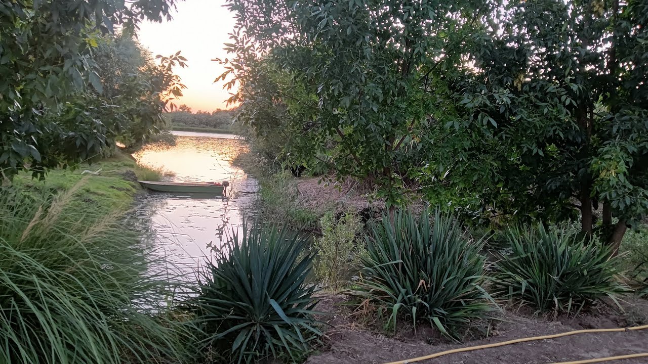 Рыбалка отдых в Астрахани Август 2025.Ахтуба,река Белужонок.