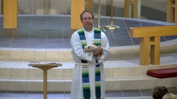 Plotinus (Tiny) the Pig - Seventh Sunday After Pentecost 2023