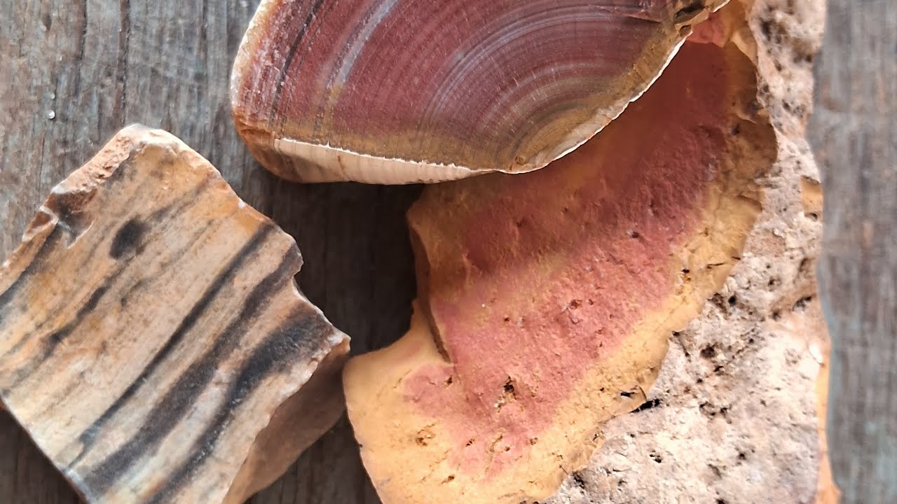 ESPLORANDO UM NOVO TERRITÓRIO 