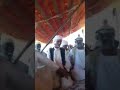 ردا عن ما قيل في رشايده الاتريه مع المهاجرين منها وقبيلة البني عامر ردا عن ما قيل في رشايده الاتريه مع المهاجرين منها وقبيلة البني عامر
