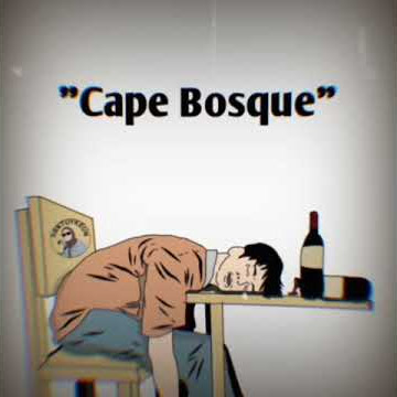 Story wa terbaru 2019 'Cape bosque'