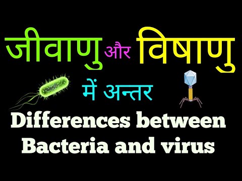 जीवाणु और विषाणु में अंतर | जीवाणु और विषाणु में तुलना | Differences between Bacteria and Virus