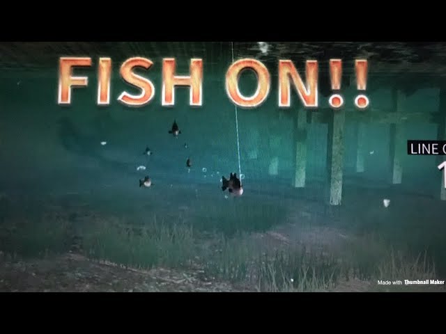 Legendary Fishing PS4 Gameplay!! 