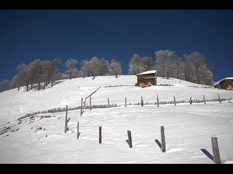 სამთო-სათხილამურო კურორტები განახლებული ინფრასტრუქტურით 2016