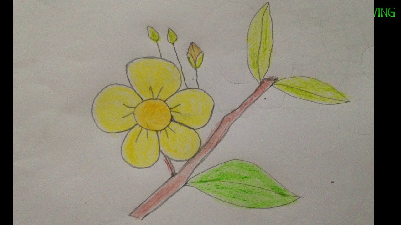 How to draw simple apricot flowers  Drawing beautiful New Year apricot  flowers  193  YouTube