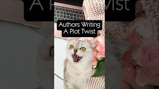 Mystery Writing Life 💻 #amwriting #mysteryauthor