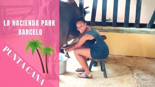 The Best Attraction || Punta Cana || Stayed In Melia Punta Cana Beach Resort