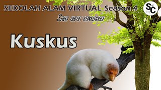 Download lagu Sekolah Alam Virtual 'Kuskus'