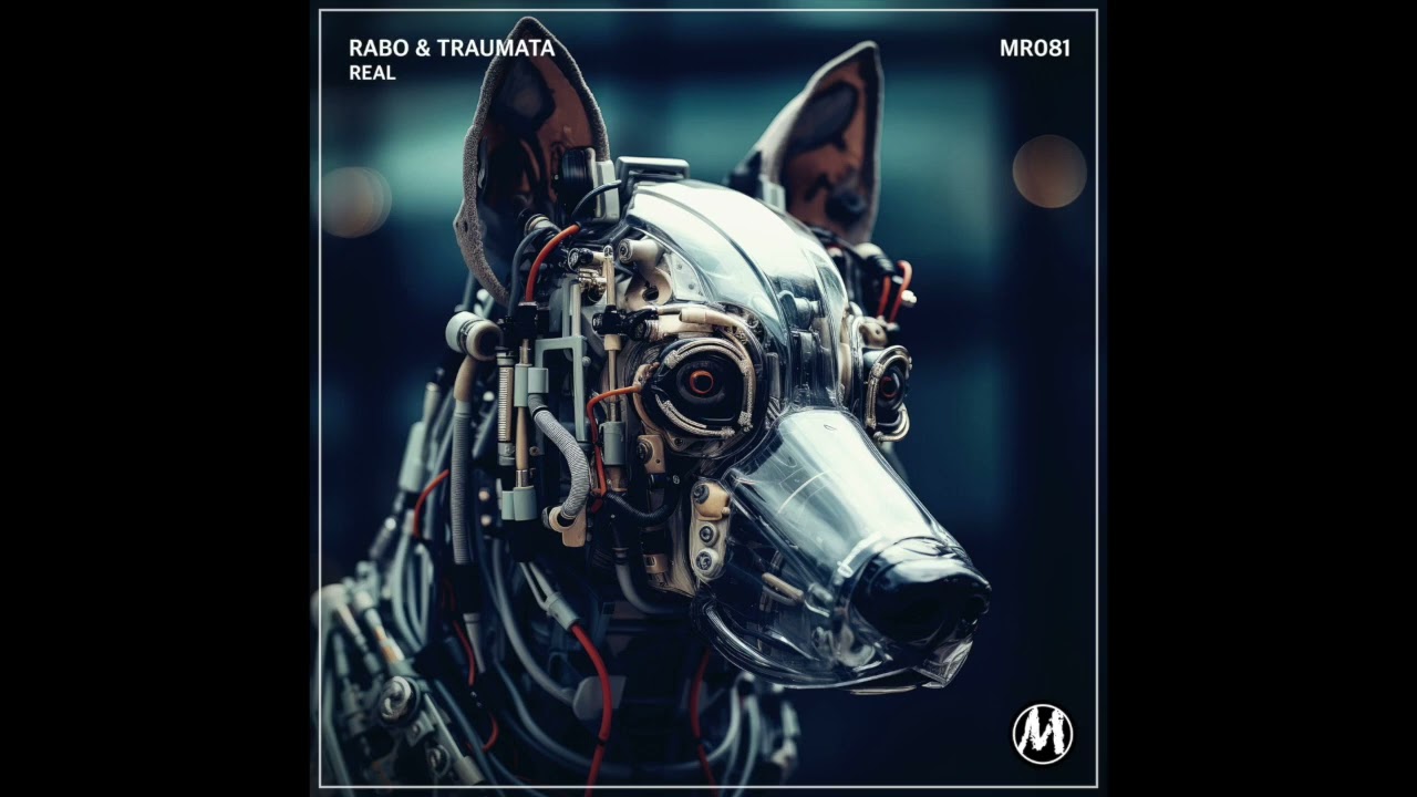 YouTube에서 Rabo, Traumata - Development (Original Mix) 보기 YouTube에서 Rabo, Traumata - Development (Original Mix) 보기