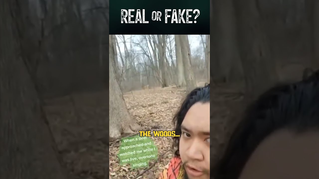 The Mysterious Figure in the Woods: Caught on Camera 