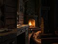 POV: You found the ultimate cozy spot. 🐾🔥