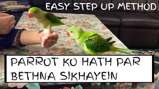 Teach Your Parrot How to Step-Up | Alexanderine Parrot / parakeet