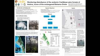 Monitoring disturbance of the Caribbean pine forests of Andros, home of the endangered Bahama Oriole