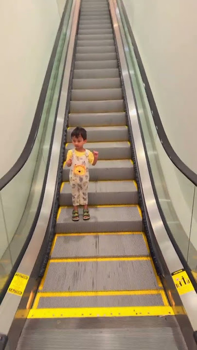 Escalator🤩☠️Funny Cute Pie Going Alone On And No Fear At all😵 #shorts #shortsvideo #viralshorts
