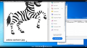 Batch Print Pro Image Addon -  Auto Add filename to print in footer or header