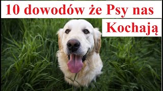 10 dowodów że Psy nas Kochają