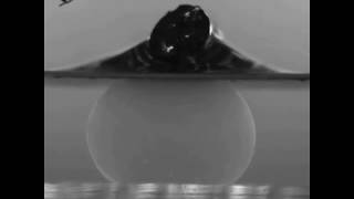 Parallel Plate Compression Testing of a Hydrogel Sphere