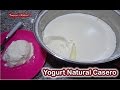 Yogurt natural casero receta super fácil